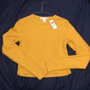Long sleeve crop top
